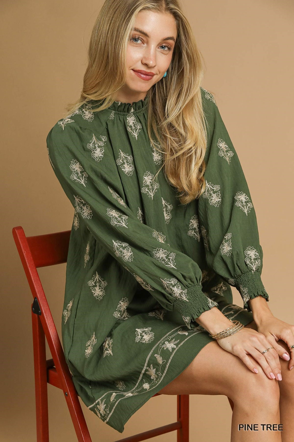 Embroidered Long Sleeve Mini Dress