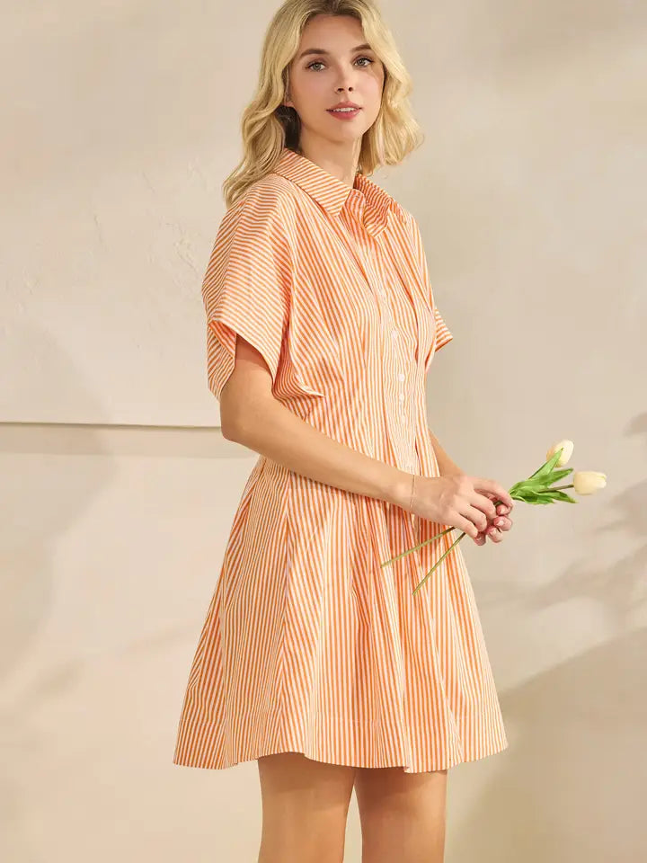 Pleated Stripe Shirt Dress