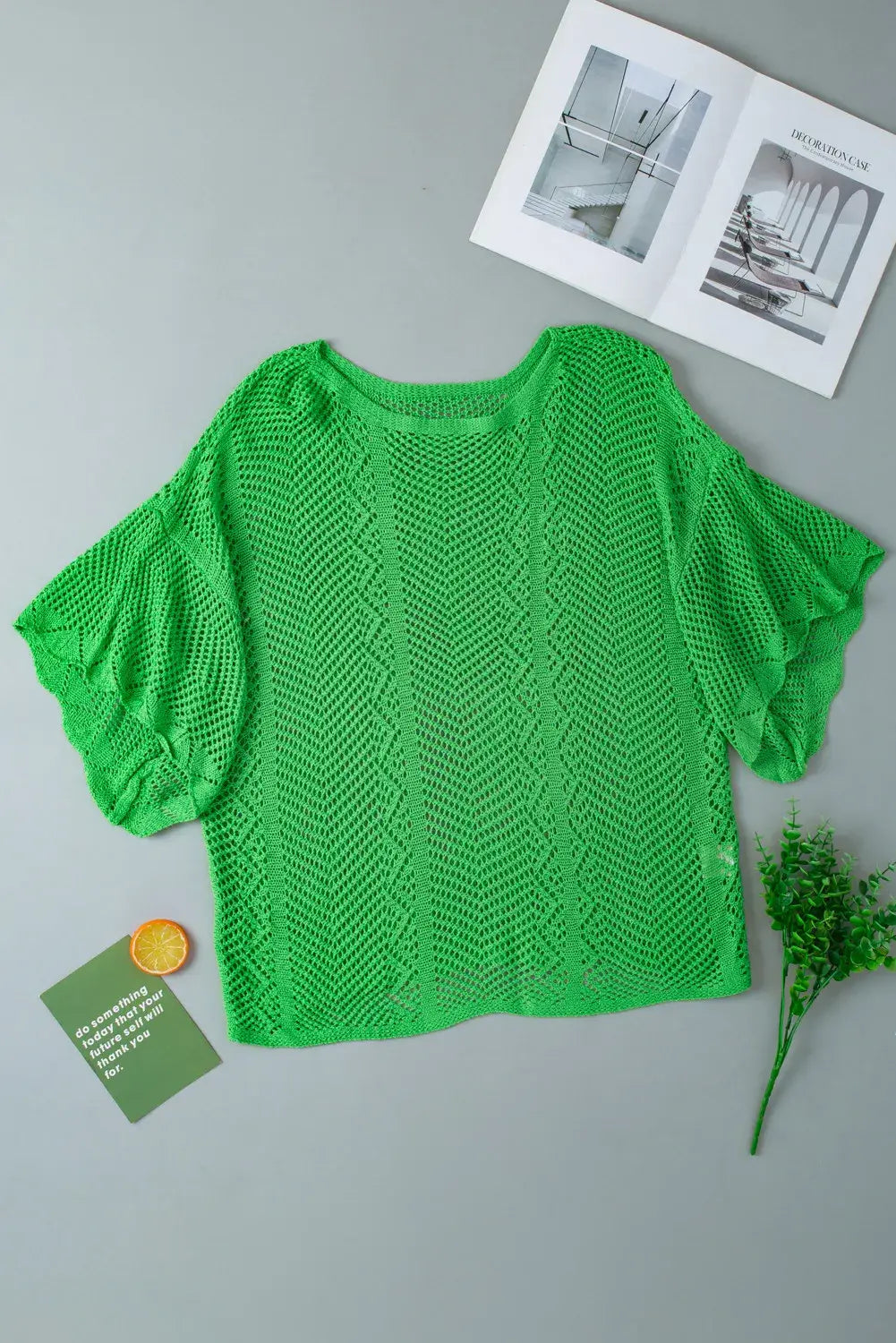 Women's Pointelle Knit Scallop Edge Short Sleeve Top
