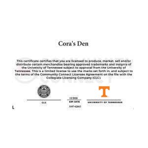 Tennessee Vols Stud Earrings