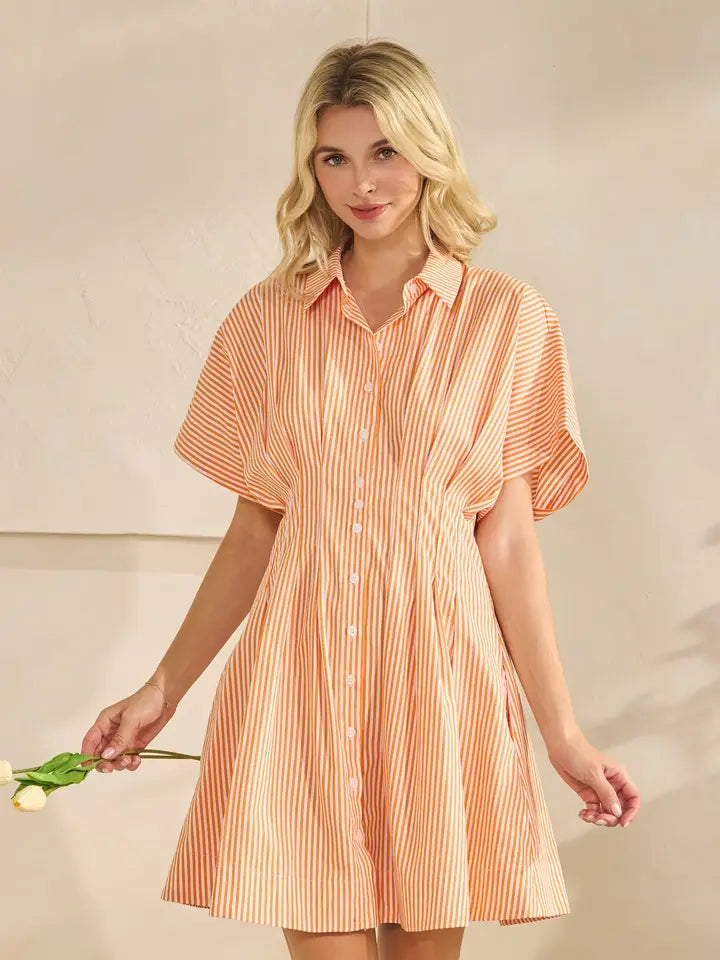 Pleated Stripe Shirt Dress